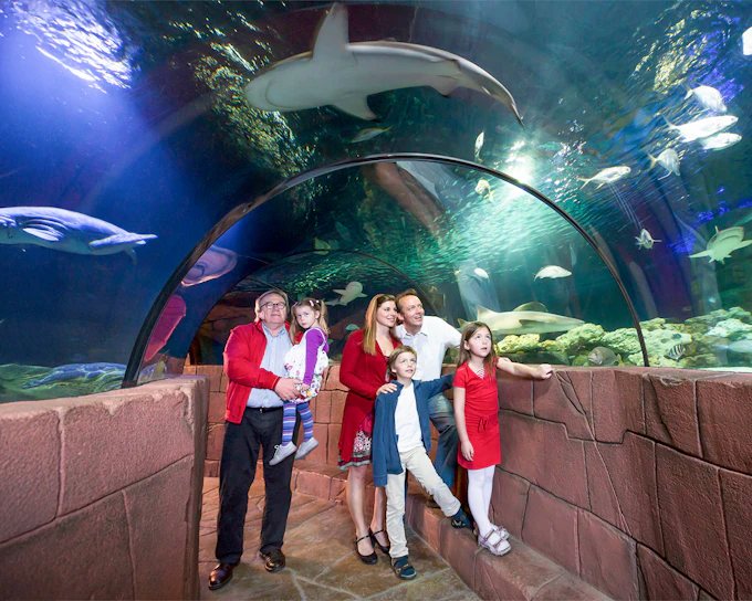 SEA LIFE Hannover Entry Tickets