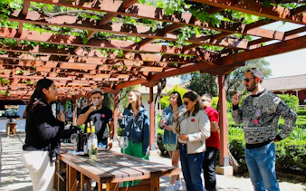Tour group enjoying wine tasting at Santa Rita Vineyard, Santiago.