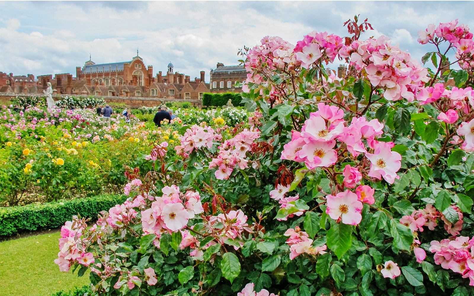 Hampton Court Gardens