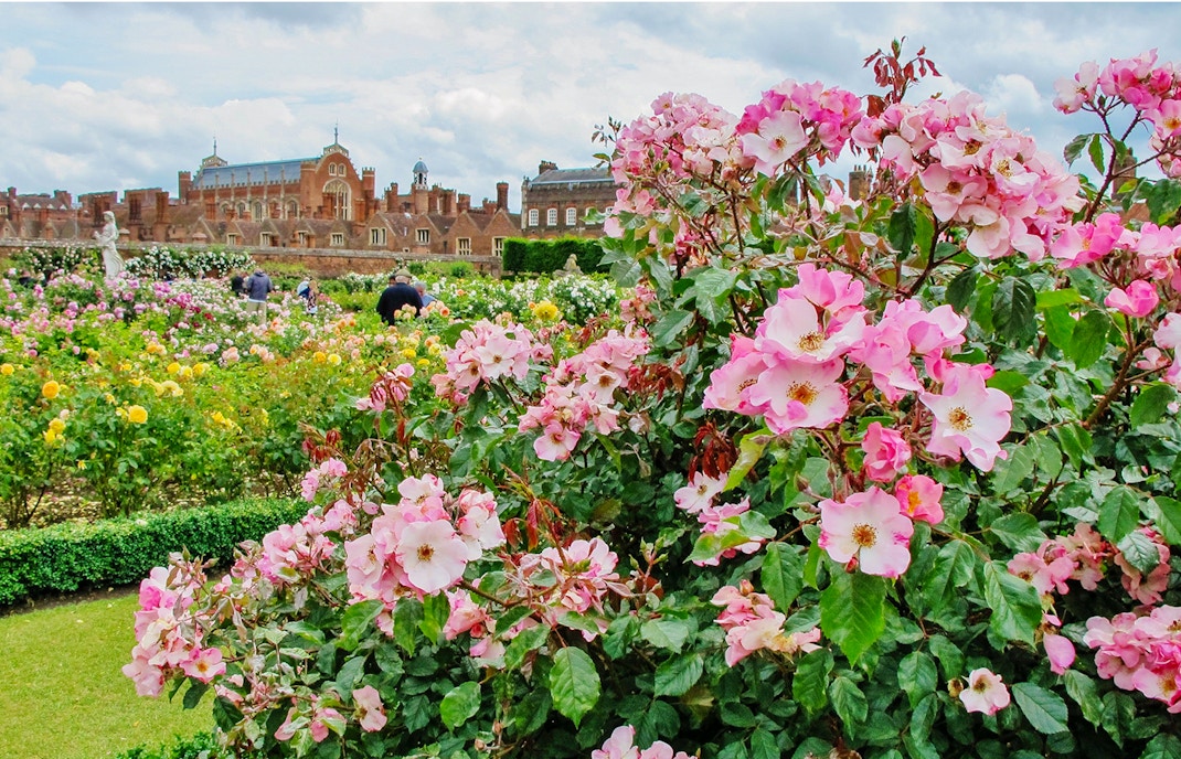 Hampton Court Gardens