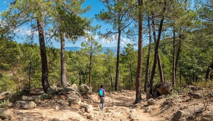 Hikers on a trail in Guadarrama National Park, Spain, surrounded by lush greenery and mountain views.