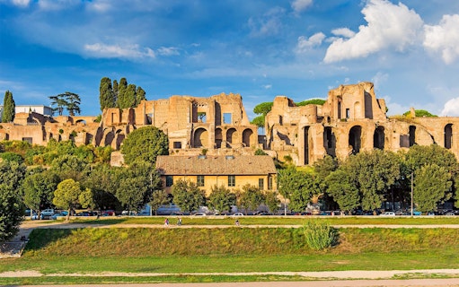 Ancient ruins on Palatine Hill in Rome with trees and a clear sky.