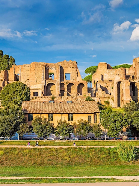 Ancient ruins on Palatine Hill in Rome with trees and a clear sky.