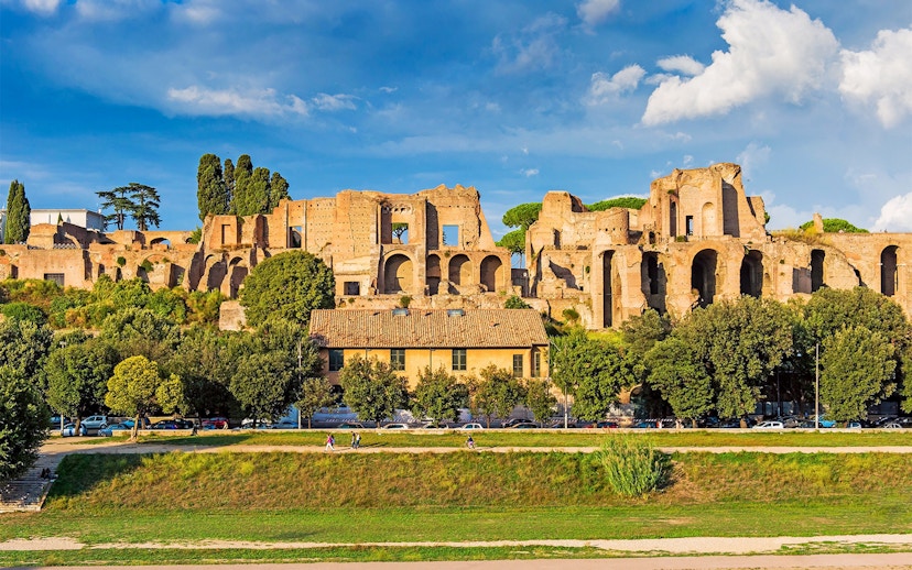 Ancient ruins on Palatine Hill in Rome with trees and a clear sky.