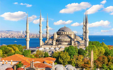 Istanbul skyline with The Blue Mosque and rooftops.