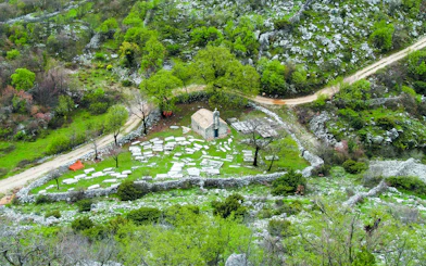 St. Barbara church surrounded by greenery and stone ruins in Dubravka, Konavle, Croatia.