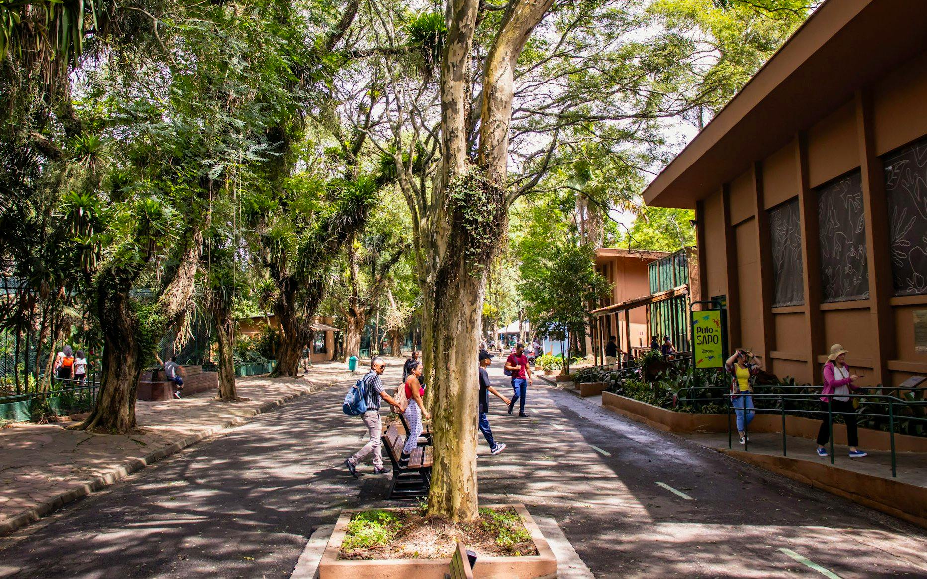 Visitors walking along a tree-lined path at São Paulo Zoo.