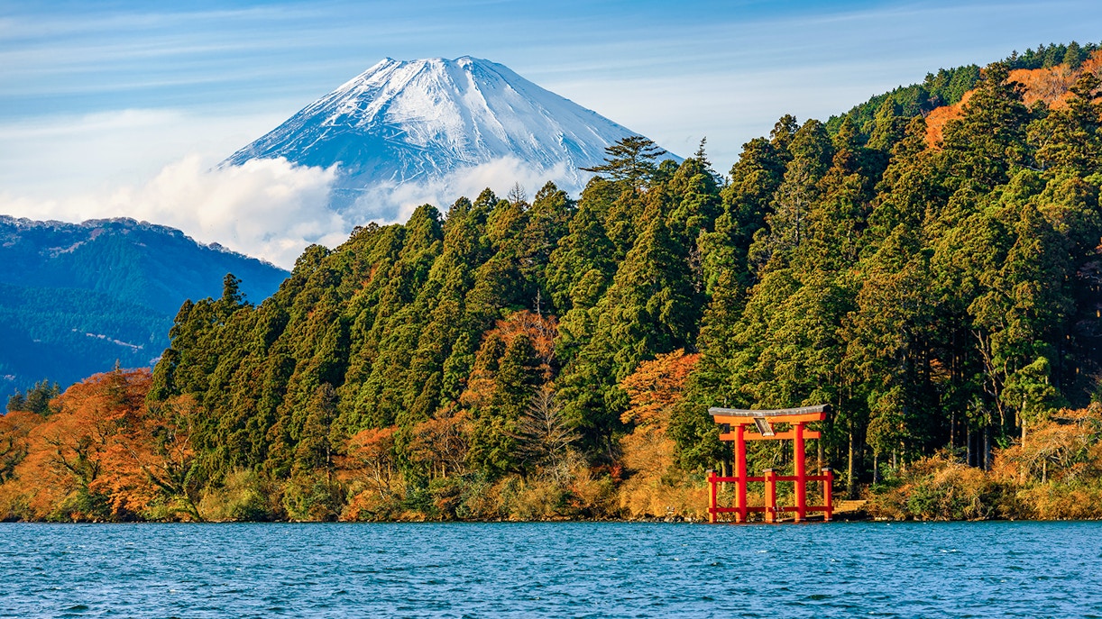 Red Torri Gate on Mt Fuji and Hakone Tour