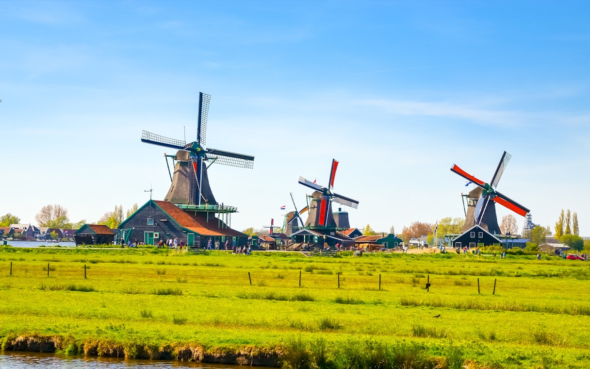 Windmills in a green field at Zaanse Schans, Netherlands, part of the Charm of Holland tour.