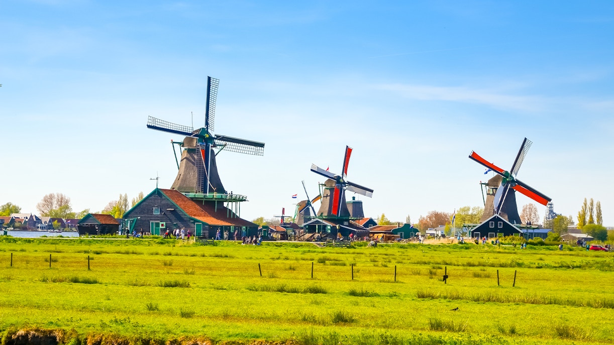 Windmills in a green field at Zaanse Schans, Netherlands, part of the Charm of Holland tour.