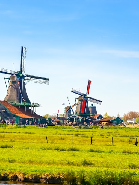 Windmills in a green field at Zaanse Schans, Netherlands, part of the Charm of Holland tour.