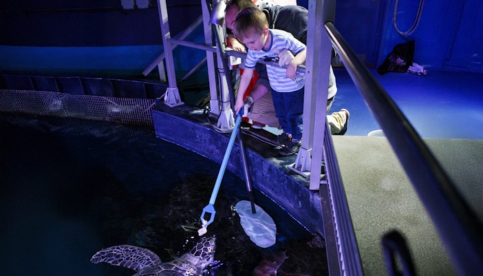 sea life london aquarium tickets