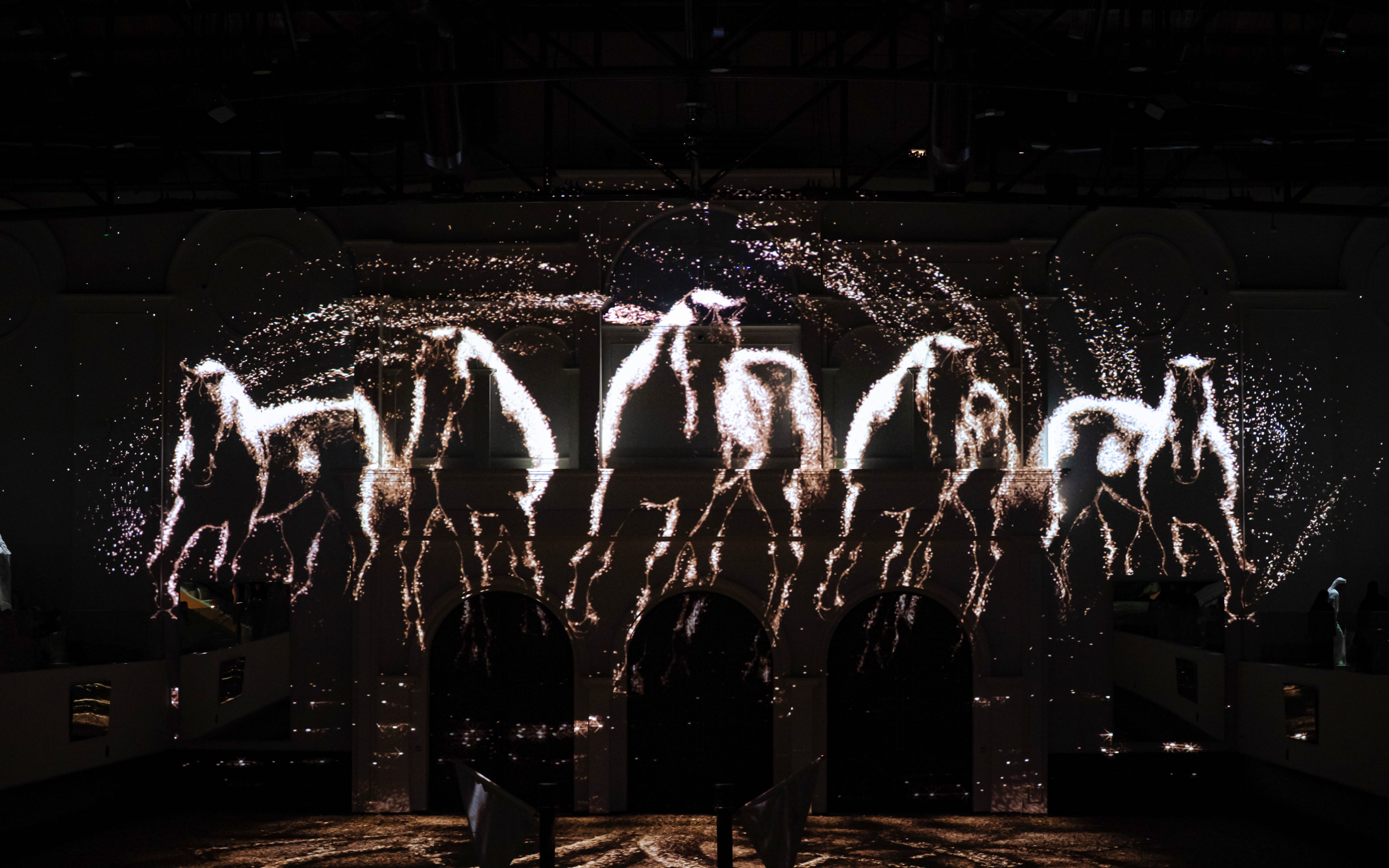 Horses in light projection at Abu Dhabi Royal Equestrian Arts show.