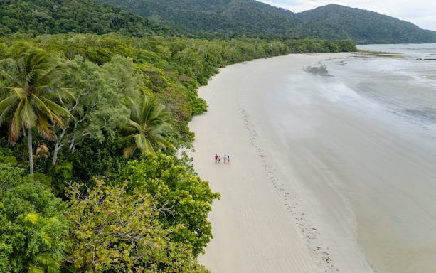 Aerial view of people walking on a beach surrounded by lush rainforest in Cape Tribulation, Daintree.