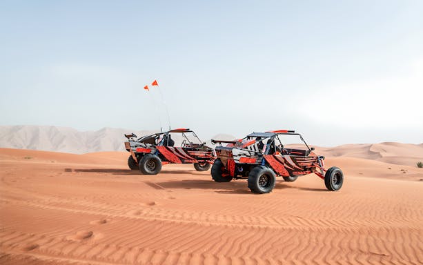 Dune buggies on desert sand with mountains in the background, part of a private tour experience.