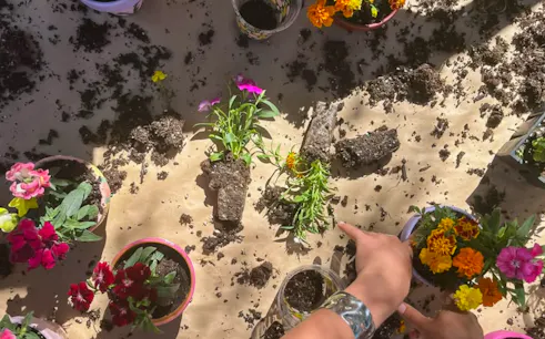 Planting flowers during a farming workshop in Rhamna, Marrakesh.