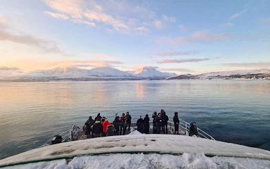 Guests on a boat watching whales in Tromso with snowy mountains in the background.
