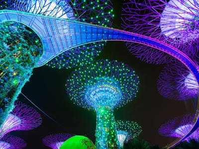 Gardens by the Bay Christmas - Gardens rhapsody