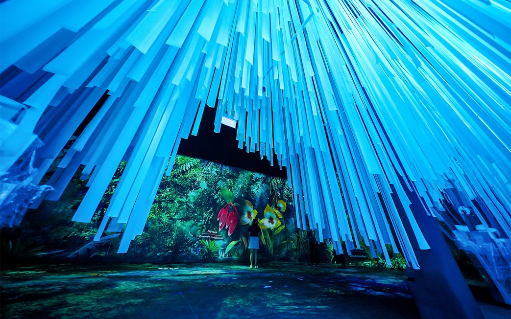 Tourists exploring the Cloud Forest Hidden Gallery at Gardens by the Bay.