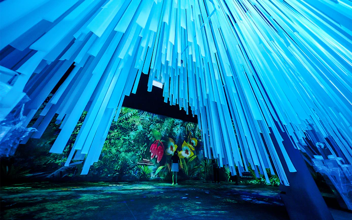 Tourists exploring the Cloud Forest Hidden Gallery at Gardens by the Bay.