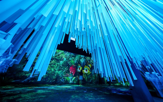 Tourists exploring the Cloud Forest Hidden Gallery at Gardens by the Bay.