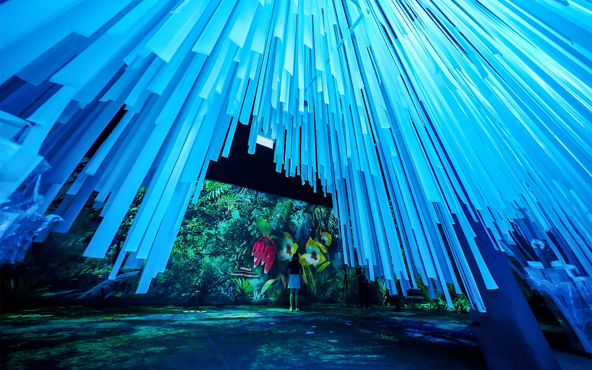 Tourists exploring the Cloud Forest Hidden Gallery at Gardens by the Bay.