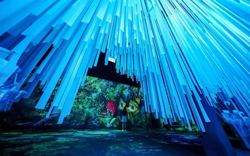 Tourists exploring the Cloud Forest Hidden Gallery at Gardens by the Bay.