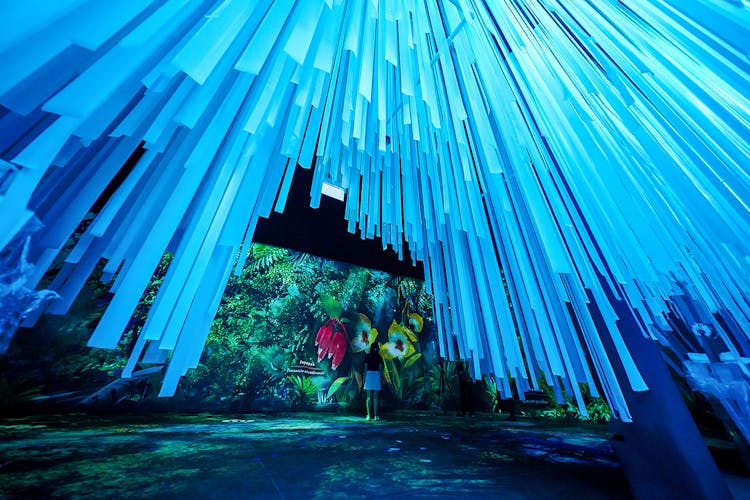 Tourists exploring the Cloud Forest Hidden Gallery at Gardens by the Bay, Singapore.