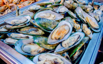 Seafood platter with mussels on Royal Princess Dinner Cruise, New Year's Eve Countdown 2027.