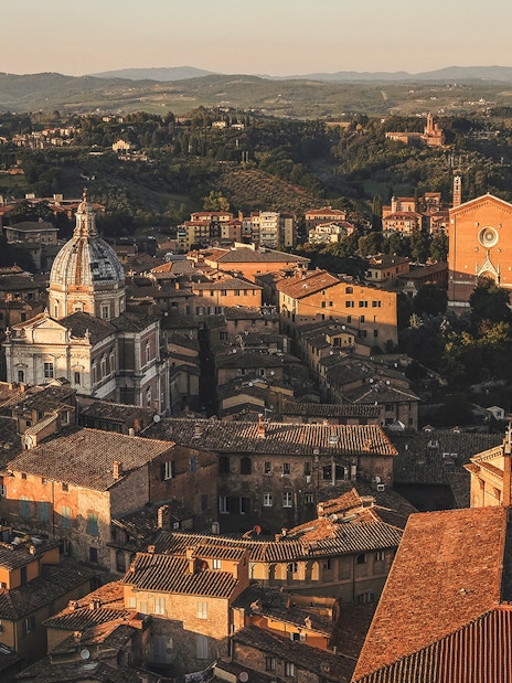 Aerial view of Siena's historic rooftops and cathedral in Tuscany, Italy.