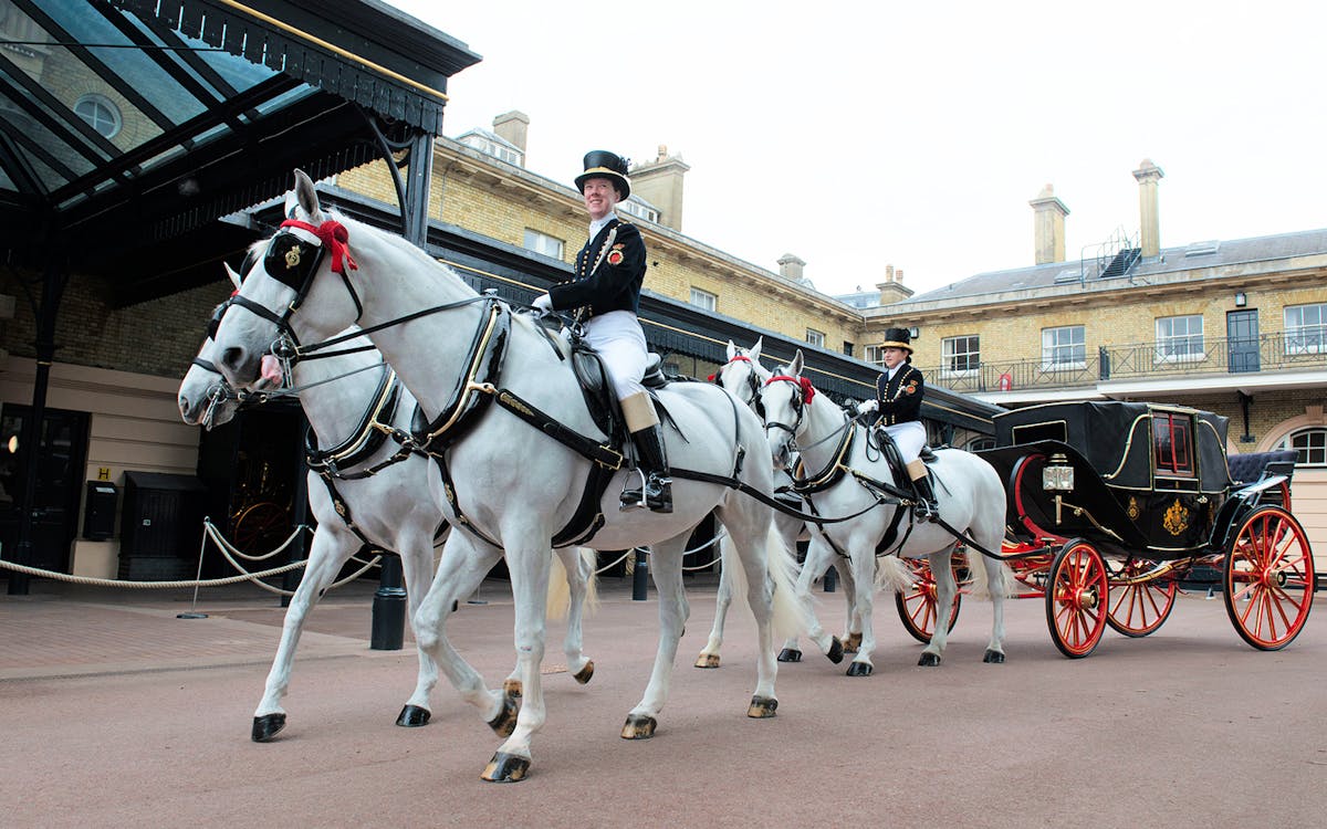 tickets voor buckingham palace, met toegang tot de staatskamers en de royal mews-6 tickets voor buckingham palace, met toegang tot de staatskamers en de royal mews-6