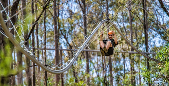 Treetops Adventure Park Sydney Tickets