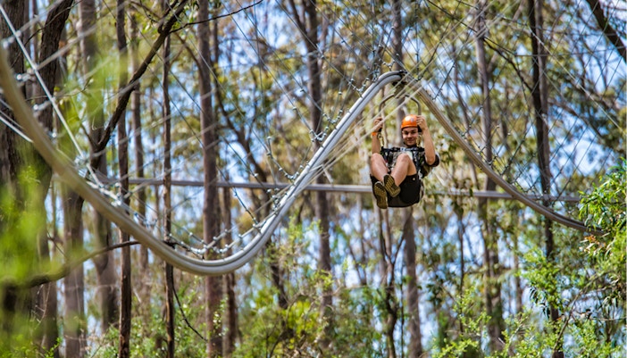 Visitors navigating rope bridges at TreeTops Adventure Park, Sydney, surrounded by lush forest.