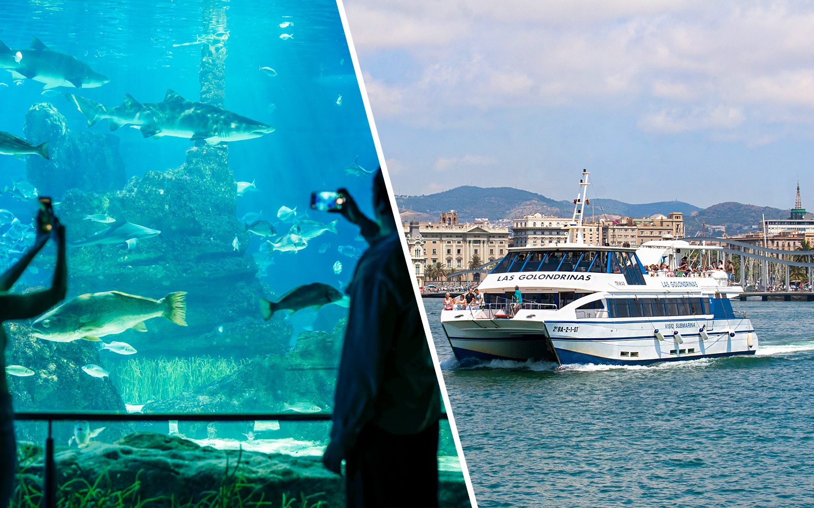 Tourists photographing marine life at Barcelona Aquarium.