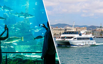 Tourists photographing marine life at Barcelona Aquarium.