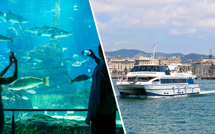 Tourists photographing marine life at Barcelona Aquarium.