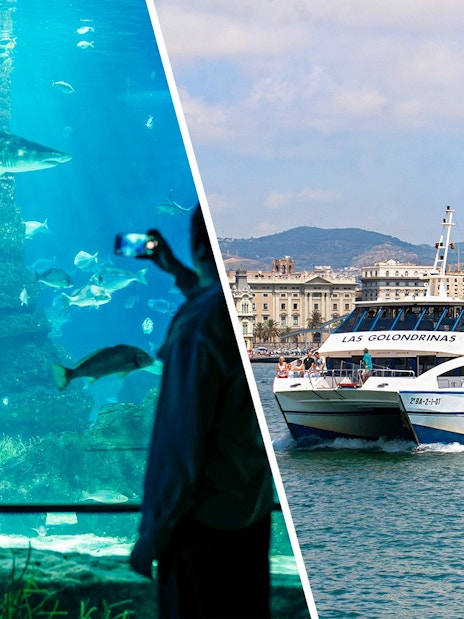 Tourists photographing marine life at Barcelona Aquarium.