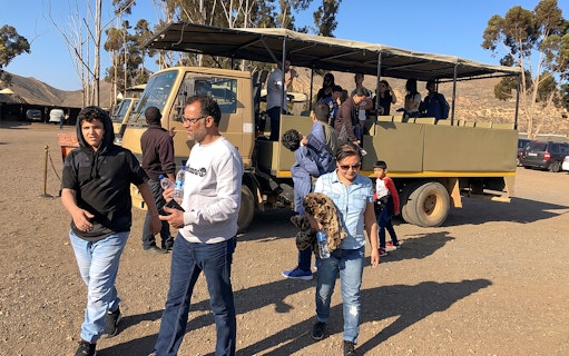 aquila private game reserve: ticket für eine safari bei sonnenuntergang-3