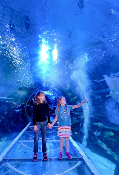 Children exploring underwater tunnel at SEA LIFE Birmingham.