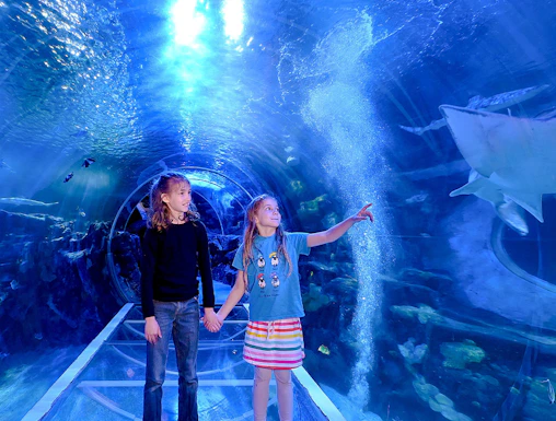 Children exploring underwater tunnel at SEA LIFE Birmingham.