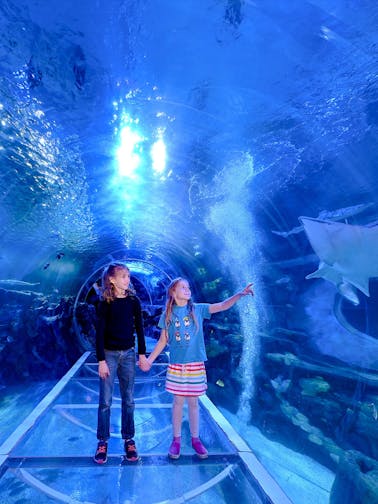 Билеты SEA LIFE Бирмингем