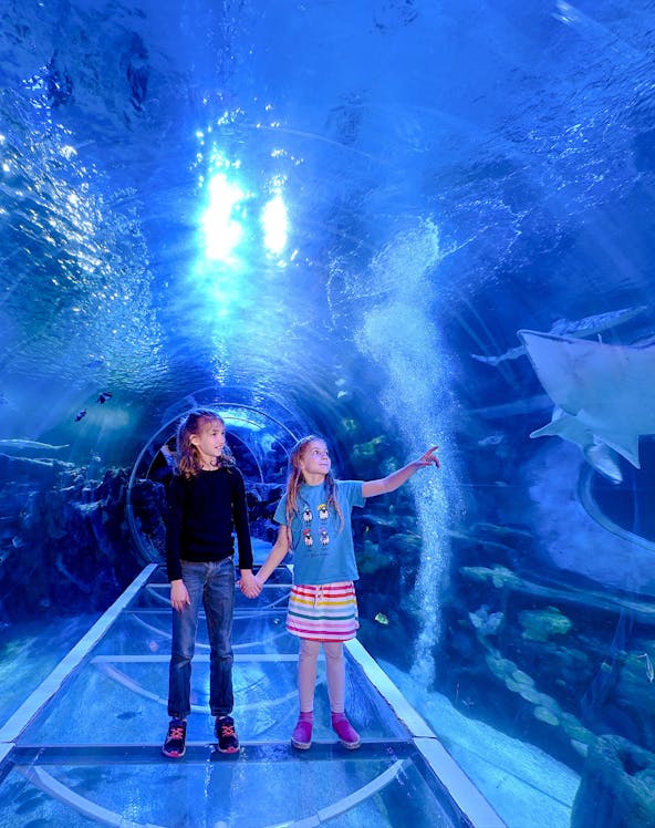 Children exploring underwater tunnel at SEA LIFE Birmingham.
