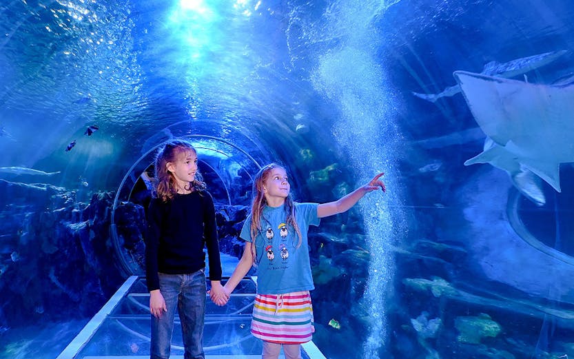 Children exploring underwater tunnel at SEA LIFE Birmingham.