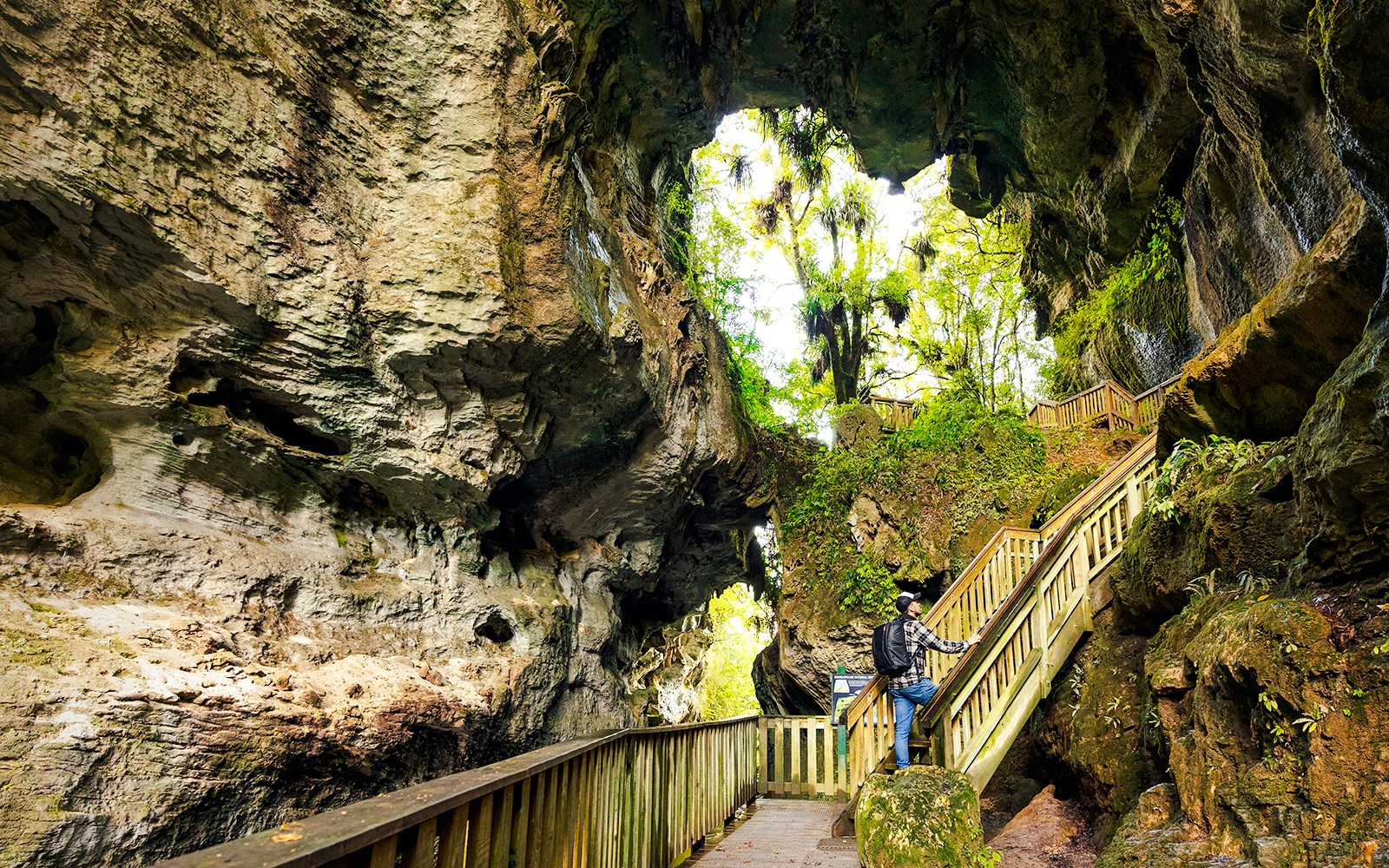 Visitor ascending stairs at Mangapohue Natural Bridge, Waitomo, New Zealand.