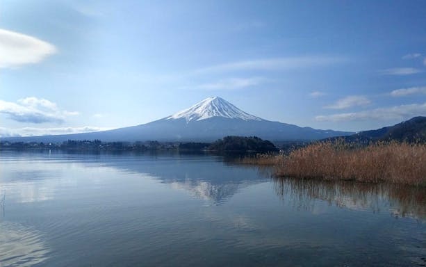 Mt. Fuji reflected in Lake Kawaguchiko during a 1-day guided bus tour.