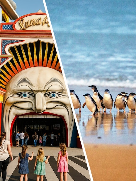 Penguins walking along the beach at Phillip Island Nature Parks, Australia.