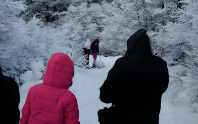 People walking through snowy forest during full day snow experience in Ushuaia.