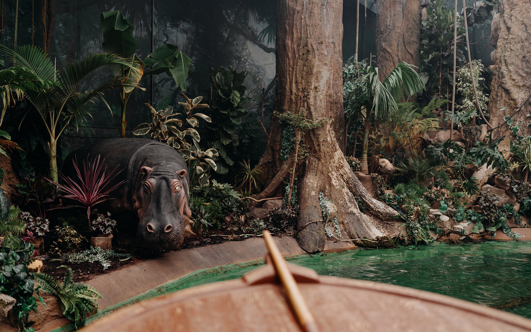 Hippo exhibit at World of Discoveries Interactive Digital Exhibition with lush jungle setting.