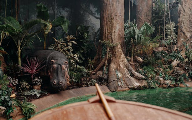 Hippo exhibit at World of Discoveries Interactive Digital Exhibition with lush jungle setting.