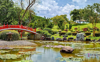 Japanese garden with red bridge over lily pond and trees in background.